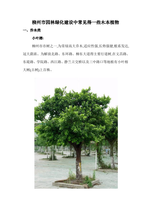 柳州市园林绿化最常用部分植物