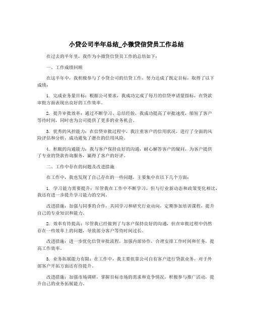 小贷公司半年总结_小微贷信贷员工作总结