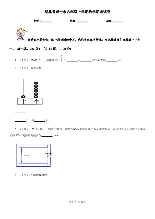 湖北省咸宁市六年级上学期数学期末试卷