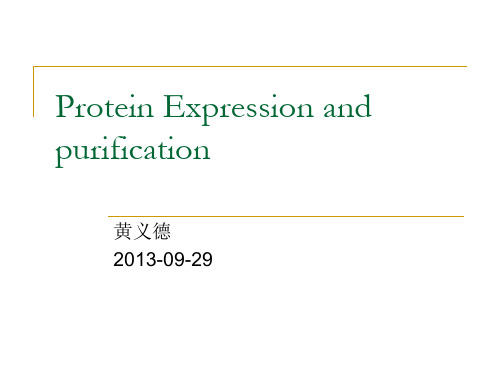 protein expression and purification