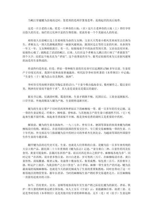 孝渡流芳姜飘香