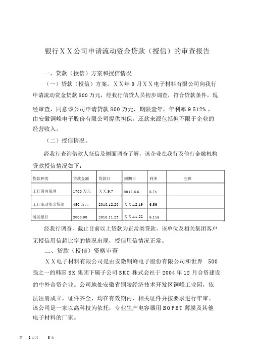 银行ⅩⅩ公司申请流动资金贷款(授信)的审查报告