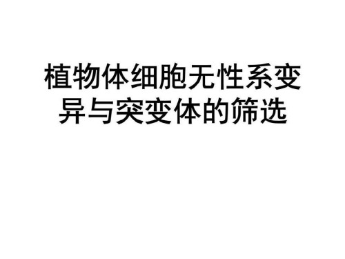 突变体筛选课件