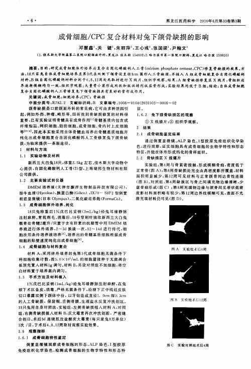 成骨细胞／CPC复合材料对兔下颌骨缺损的影响