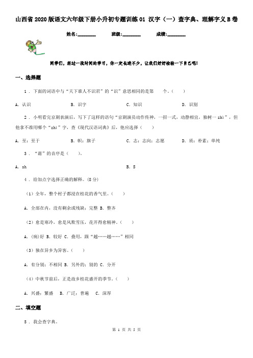 山西省2020版语文六年级下册小升初专题训练01 汉字(一)查字典、理解字义B卷