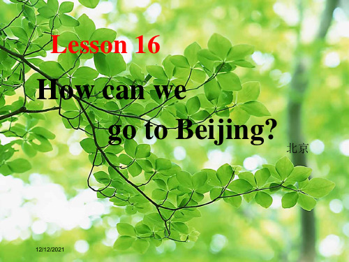 五年级英语上册《lesson 16 how can we go to beijing》课件3 