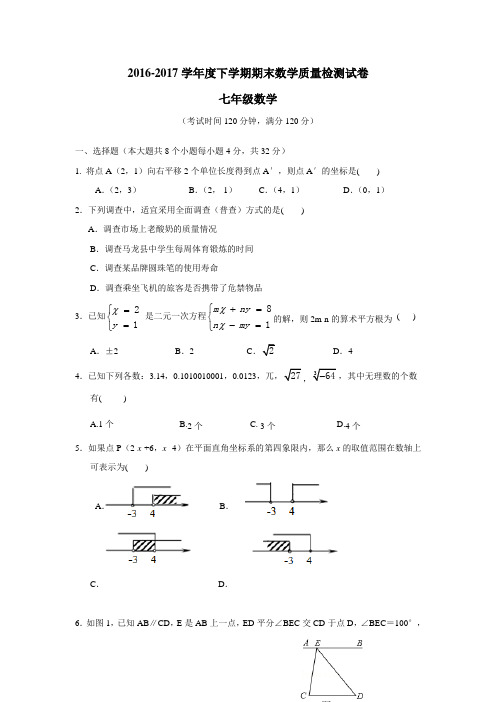 16—17学年下学期七年级期末考试数学试题(附答案)