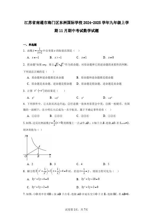 江苏省南通市海门区东洲国际学校2024-2025学年九年级上学期11月期中考试数学试题