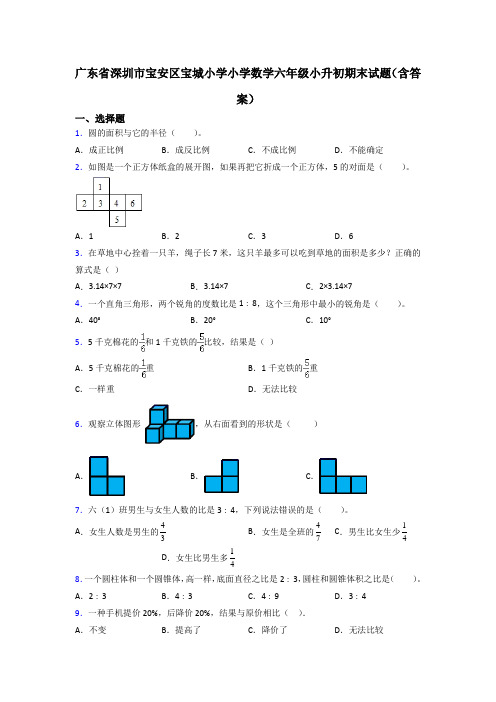 广东省深圳市宝安区宝城小学小学数学六年级小升初期末试题(含答案)