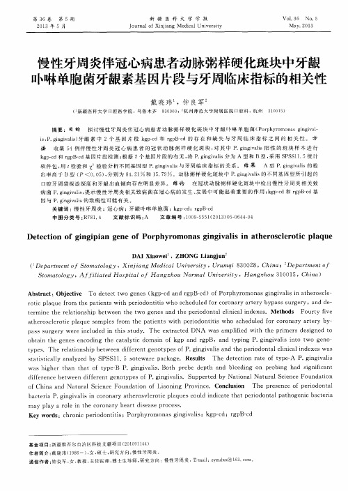 慢性牙周炎伴冠心病患者动脉粥样硬化斑块中牙龈卟啉单胞菌牙龈素基因片段与牙周临床指标的相关性