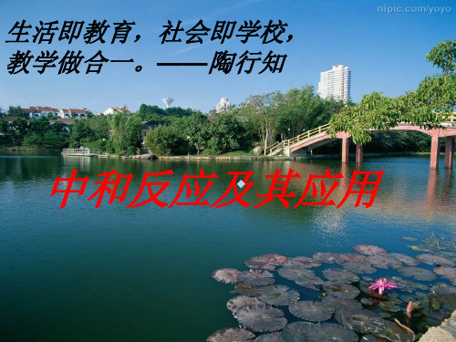 山东省胶南市隐珠街道办事处中学九年级化学中和反应及其应用2ppt课件