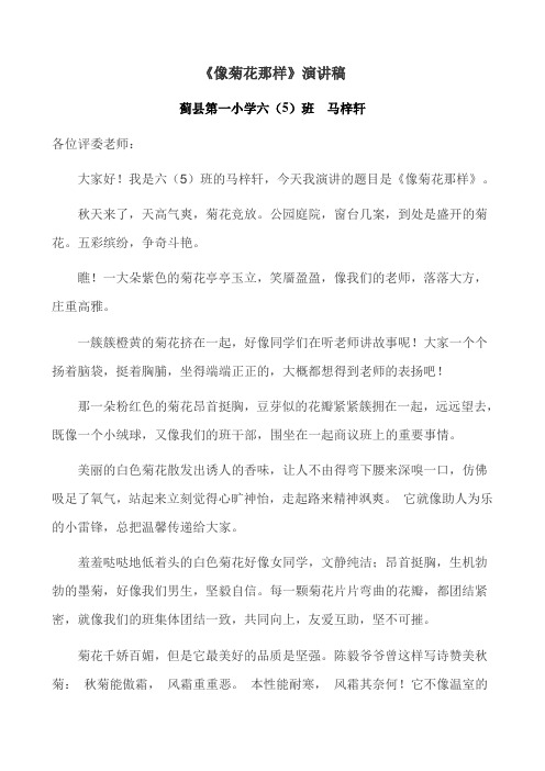 《像菊花那样》演讲稿