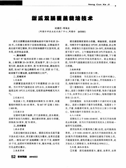 甜瓜双膜覆盖栽培技术