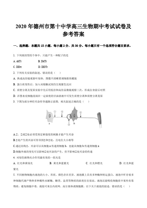 2020年德州市第十中学高三生物期中考试试卷及参考答案