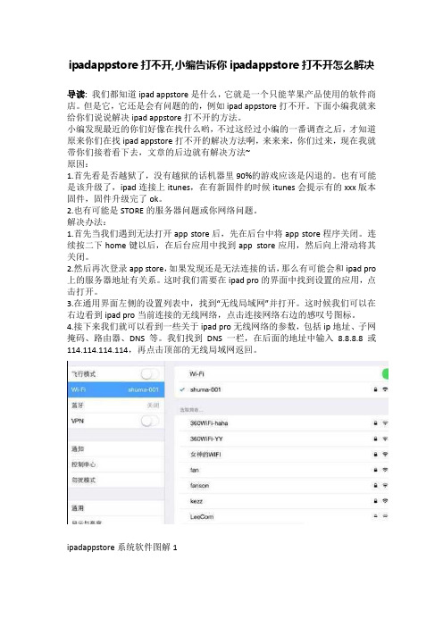 ipadappstore打不开,小编告诉你ipadappstore打不开怎么解决