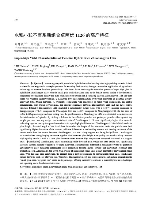 水稻小粒不育系新组合卓两优1126_的高产特征