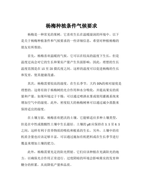 杨梅种植条件气候要求