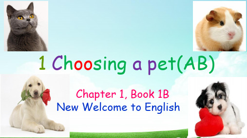 Chapter1 Choosing a pet-AB 课件(共20张PPT)