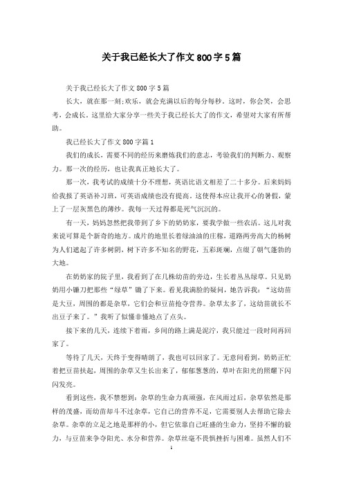 关于我已经长大了作文800字5篇