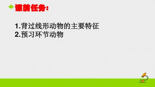 第二节线形动物和环节动物公开课