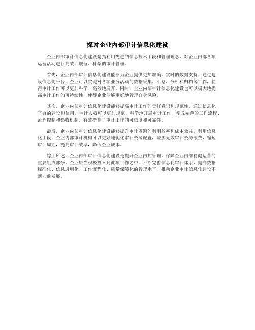 探讨企业内部审计信息化建设