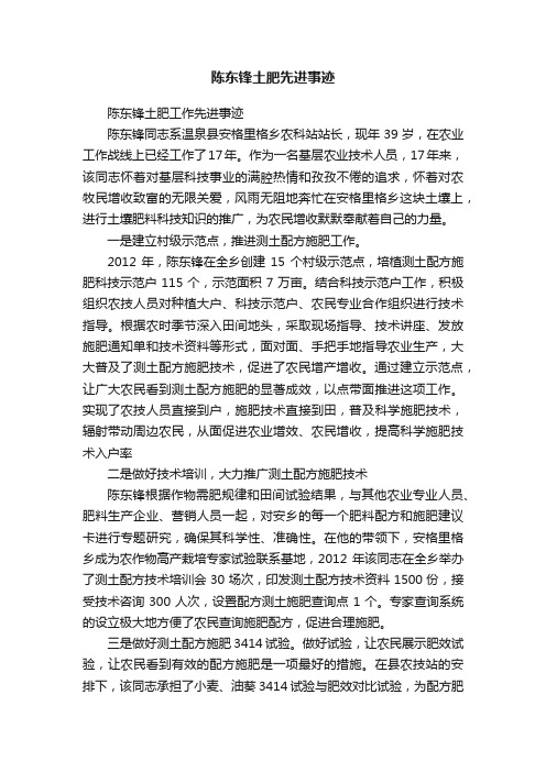 陈东锋土肥先进事迹