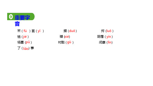 人教版高中语文必修1教学课件： 第6课 基础知识梳理