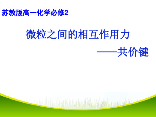 苏教版高中化学必修二1.2 微粒之间的相互作用力-共价键 课件(共18张PPT)