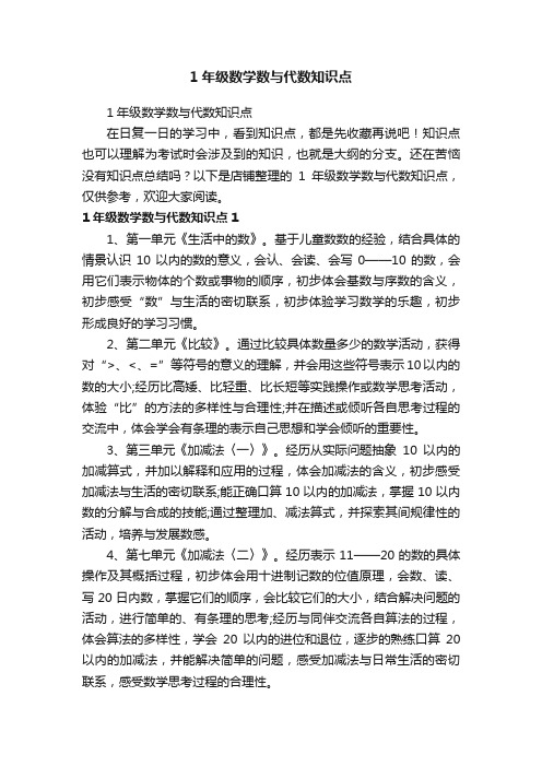 1年级数学数与代数知识点