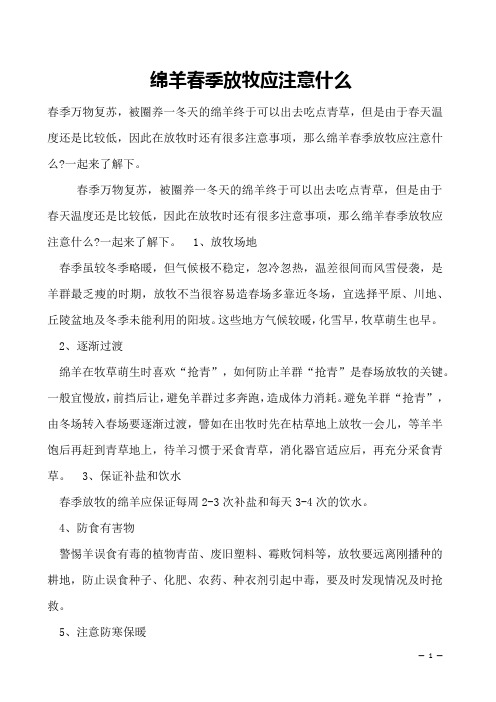 绵羊春季放牧应注意什么