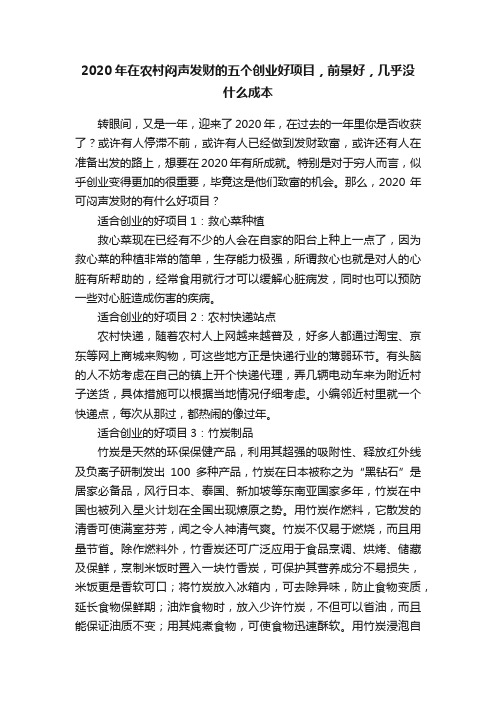 2020年在农村闷声发财的五个创业好项目，前景好，几乎没什么成本