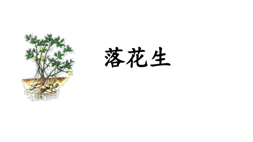 最新人教部编版小学五年级上册语文《落花生》名师示范课名师课件