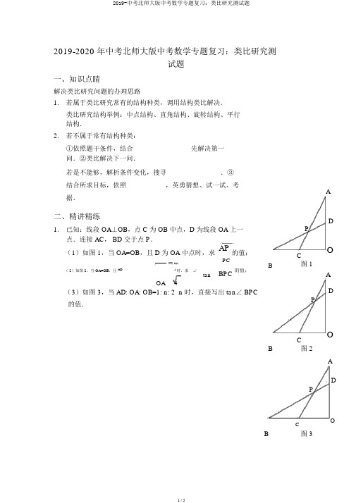 2019-中考北师大版中考数学专题复习：类比探究测试题