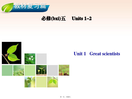 高考英语总复习 Unit 1 Great scientists课件 新人教版必修5