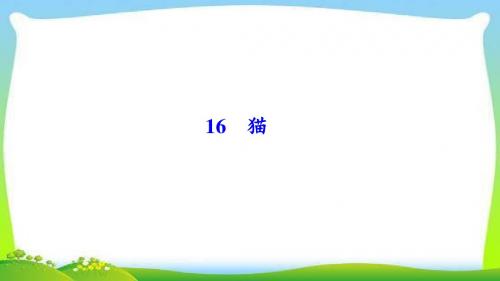 部编本人教版七年级语文上册16 猫公开课精品课件