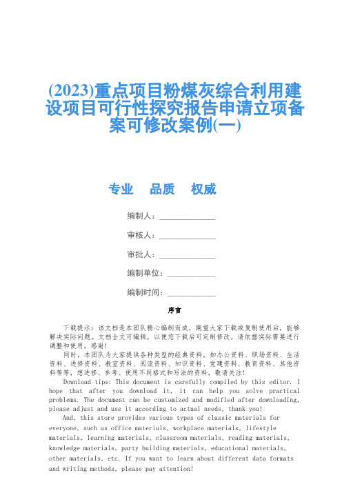 (2023)重点项目粉煤灰综合利用建设项目可行性研究报告申请立项备案可修改案例(一)