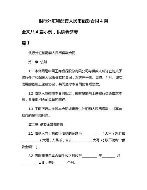 银行外汇和配套人民币借款合同4篇