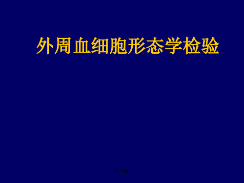 01血涂片、红细胞形态PPT课件