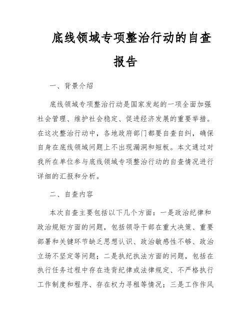 底线领域专项整治行动的自查报告