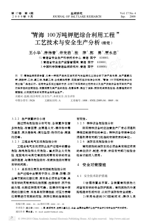 11-青海100万吨钾肥综合利用工程_工艺技术与安全生产分析_续完_