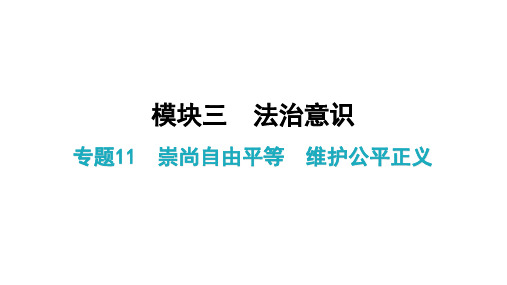 中考总复习道德与法治复习专题11 崇尚自由平等  维护公平正义  课后作业课件ppt（26张幻灯片）