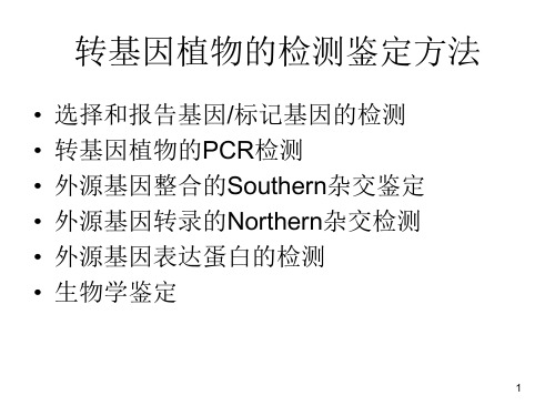 转基因植物的检测鉴定方法、遗传转化技术及新技术