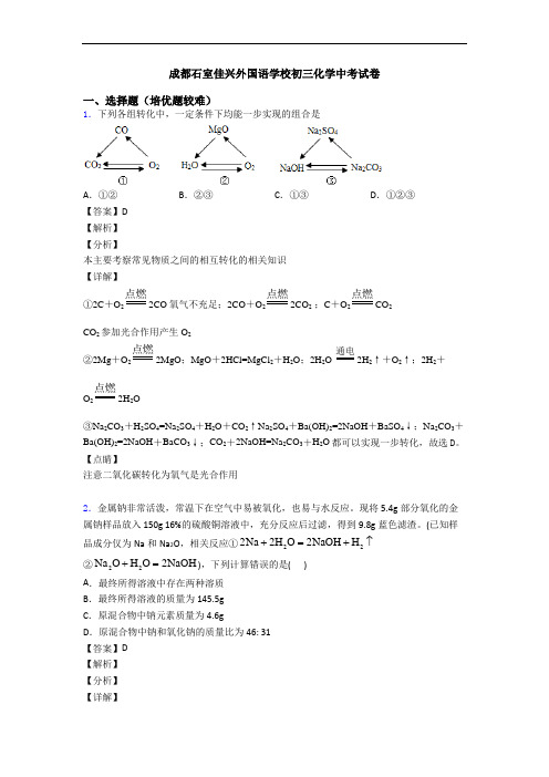 成都石室佳兴外国语学校初三化学中考试卷