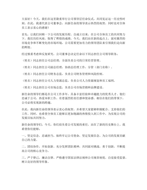 任命新的领导公司发言稿