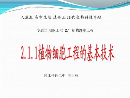 人教版教学课件2[1].1.1《植物细胞工程的基本技术》