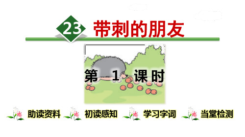 部编版三年级上册语文《带刺的朋友》PPT教学电子课件