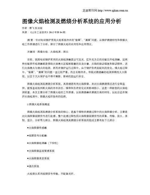 图像火焰检测及燃烧分析系统的应用分析