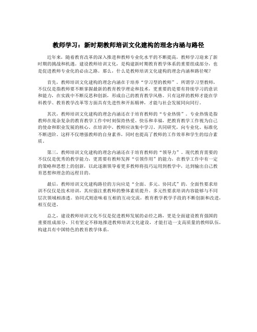 教师学习：新时期教师培训文化建构的理念内涵与路径