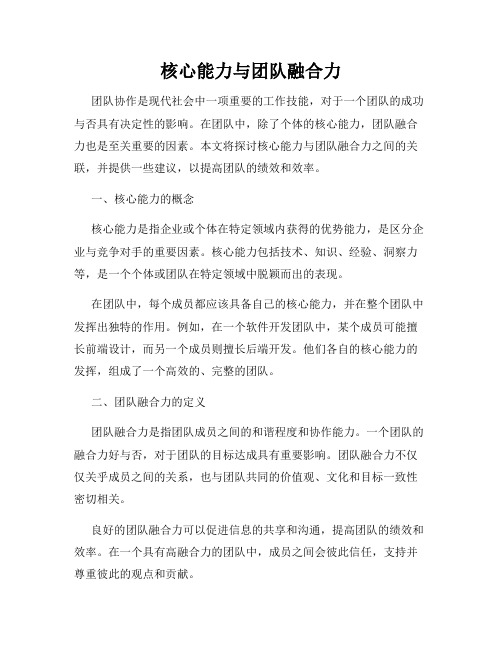 核心能力与团队融合力