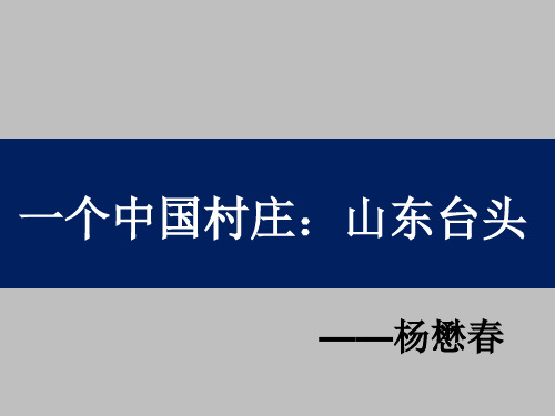 一个中国村庄：山东台头